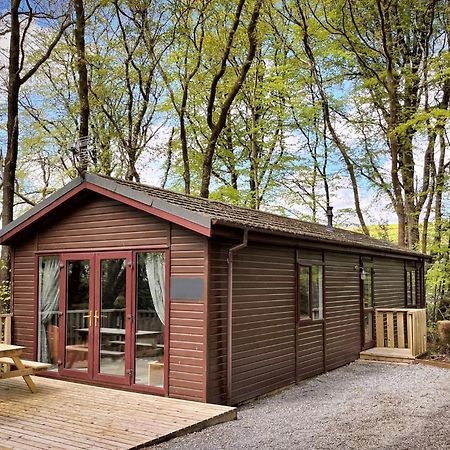 Woodland View -Hot Tub-Tenby-Carmarthen-St Clears Luaran gambar